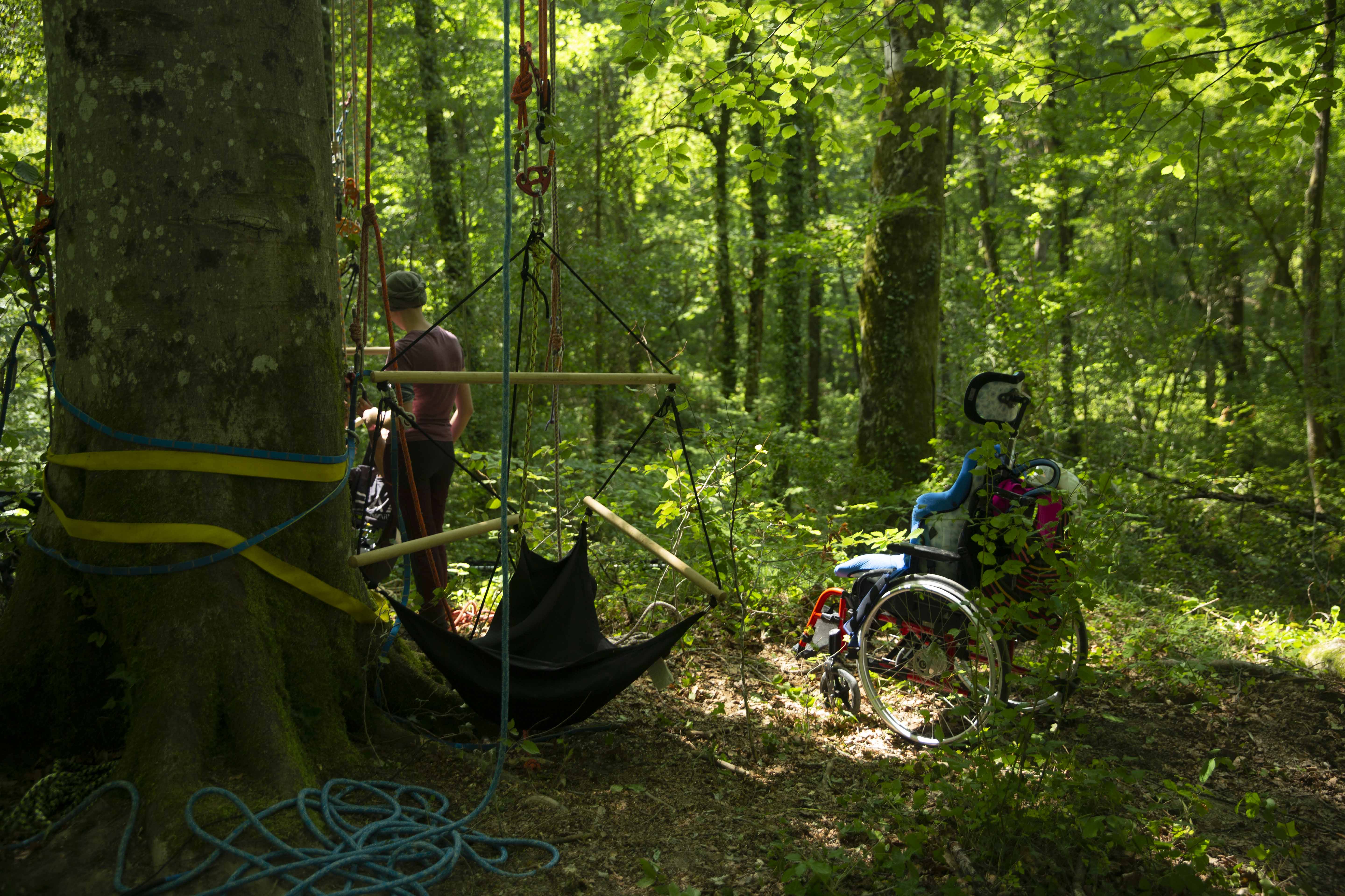 Personne en situation de handicap lors d'une activité d'initiation à la grimpe d'arbre